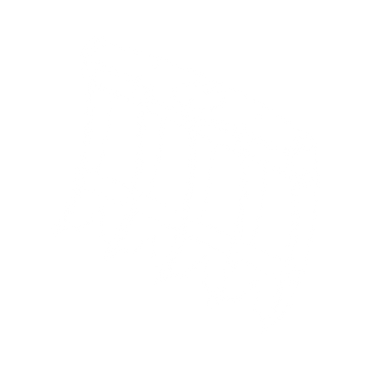 Root Rake excavator attachment