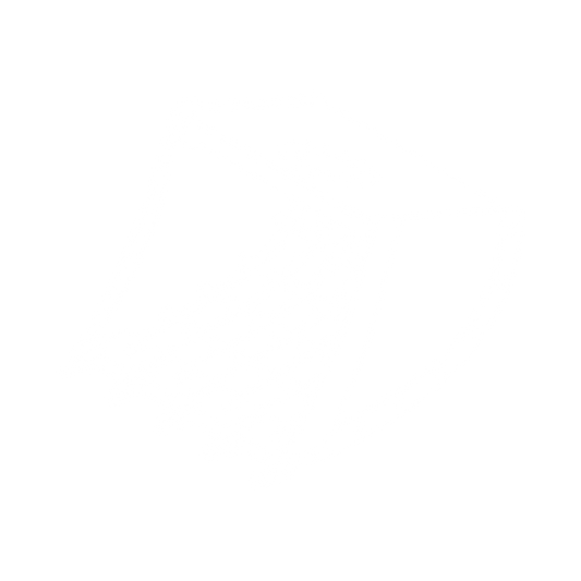 Skeleton Bucket excavator attachment